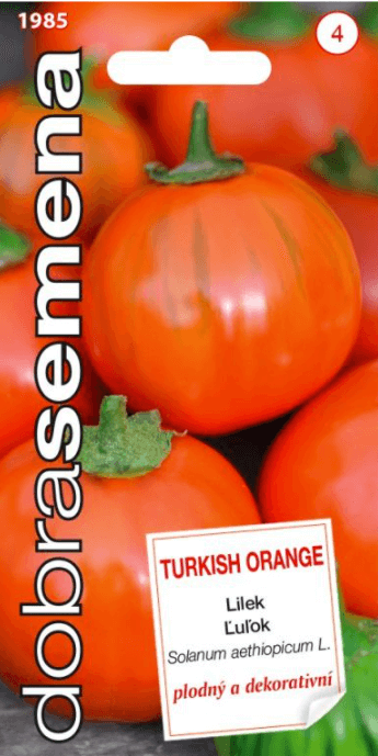 Lilek - TURKISH ORANGE