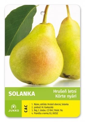 Hrušeň SOLANKA - sem.