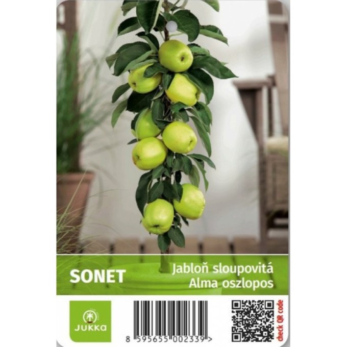 Jabloň sloupovitá SONET - M7