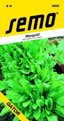 Mangold - PERPETUAL SPINACH (GATOR)