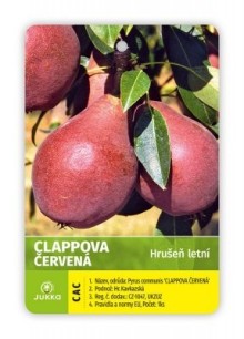 Hrušeň CLAPPOVA ČERVENÁ - sem.