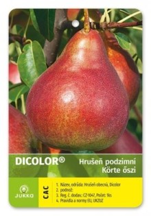 Hrušeň DICOLOR® - kd.