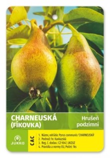 Hrušeň CHARNEUSKÁ - OK 10-12, Arbotaška